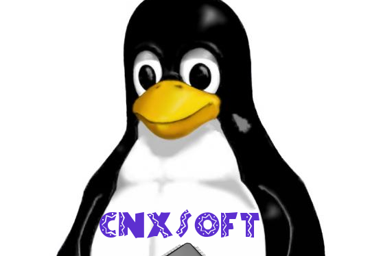 CNX Software Shop